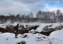 фото: greenpeace.ru
