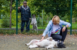 фото: пресс-служба благотворительного фонда «ЗООзащита» фото: пресс-служба благотворительного фонда «ЗООзащита»