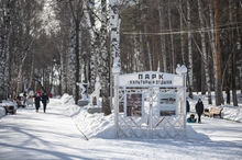 За год парк ЦПКиО в Екатеринбурге заработал более 180 миллионов рублей