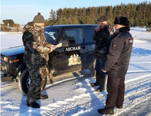 На Среднем Урале ловят браконьеров, которые рубят новогодние ели