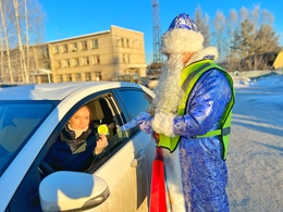 фото: ГИБДД Свердловской области