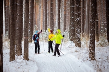 Первая в 2023 году массовая зимняя прогулка пройдет в Свердловской области