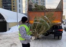 Екатеринбургский зоопарк принимает елки у предпринимателей