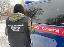 фото: СК РФ по Свердловской области