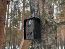 В лесах Свердловской области установлено уже больше десяти фотолавушек для нарушителей