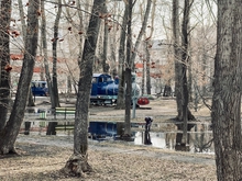 Уральцев приглашают принять участие в фотоконкурсе «Деревья - памятники живой природы»