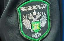 В аэропорту Кольцово задержана молочная продукция из Республики Таджикистан