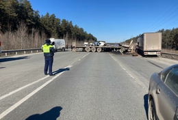 фото: ГИБДД Свердловской области