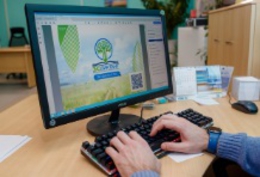 фото: Pexels