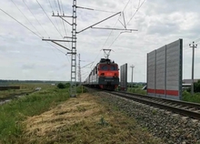 Свердловская железная дорога выплатит государству 120 тысяч рублей за сбитых косуль Свердловская железная дорога выплатит государству 120 тысяч рублей за сбитых косуль