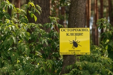 В парках Екатеринбурга стартует обработка от клещей