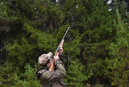 фото: Pexels