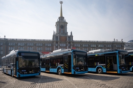 фото: ДИП