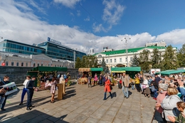 фото: Федор Серков