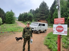 В Свердловской области работали в эти выходные более четырех тысяч контрольных групп по патрулированию лесов