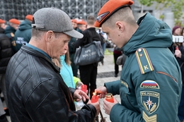 фото: ДИП