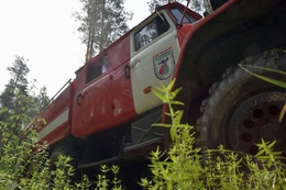 фото: ДИП