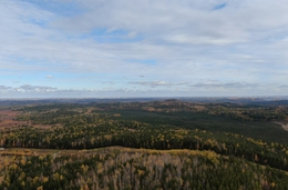 фото: ДИП фото: ДИП