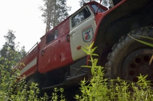 Ликвидирован самый крупный лесной пожар в Свердловской области
