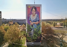 В Екатеринбурге стартовал международный фестиваль уличного искусства STENOGRAFFIA
