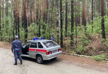 Локализованы все шесть лесных пожаров в Свердловской области