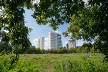 В районе ЖБИ Екатеринбурга будет построена ледовая арена
