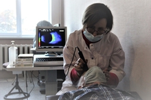 Врачи ЦГБ №2 откроют Школу здоровья и долголетия 60+ в преддверии празднования Дня пенсионера в Свердловской области Врачи ЦГБ №2 откроют Школу здоровья и долголетия 60+ в преддверии празднования Дня пенсионера в Свердловской области