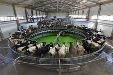 Уральских фермеров научат работать в новых современных государственных системах учета