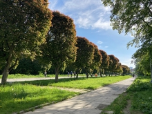 В Екатеринбурге определят границы еще 13 особо охраняемых природных территорий