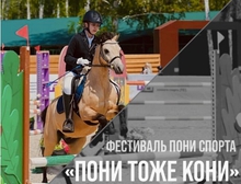 Первый в Свердловской области фестиваль пони-спорта пройдет уже завтра