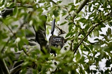 Минприроды установило фотоловушки для фиксации виновных в создании несанкционированных свалок на Среднем Урале