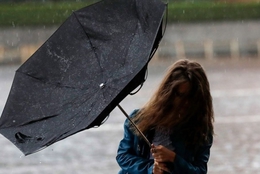 фото: Pexels фото: Pexels