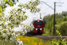 В России начали действовать новые правила для пассажиров поездов