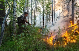 фото: ДИП