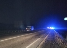 На трассе под Екатеринбургом трое детей пострадали в ДТП с лосем