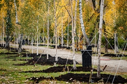 фото: Екатеринбург.рф