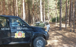 фото: ДИП