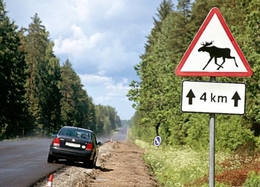 фото: МояОкруга.РФ