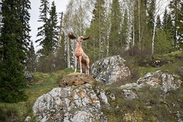 фото: ДИП