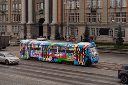 фото: STENOGRAFFIA FESTIVAL