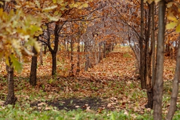 фото: Екатеринбург.рф