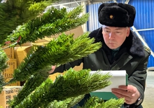 Уральские предприниматели привезли новогодние украшения почти на миллион долларов