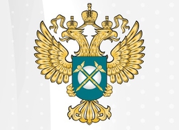 Фото: АПИ