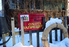 Охотникам Свердловской области упростили порядок получения разрешений на добычу дичи