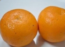 В Екатеринбурге обнаружены четыре тонны апельсинов, зараженных красной померанцевой щитовкой