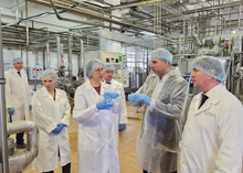 Уральский производитель майонеза планирует увеличить экспорт продукции в Китай