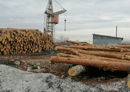 фото: ДИП