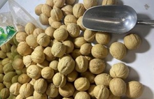 В Свердловскую область поступило около 35 тонн растительной продукции из Китая и Турции