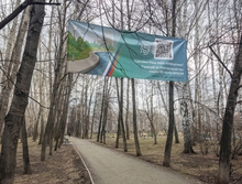 Большинство екатеринбуржцев проголосовали за благоустройство парка 50-летия ВЛКСМ в следующем году