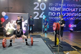 фото: ДИП